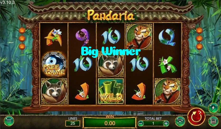 Big Winner